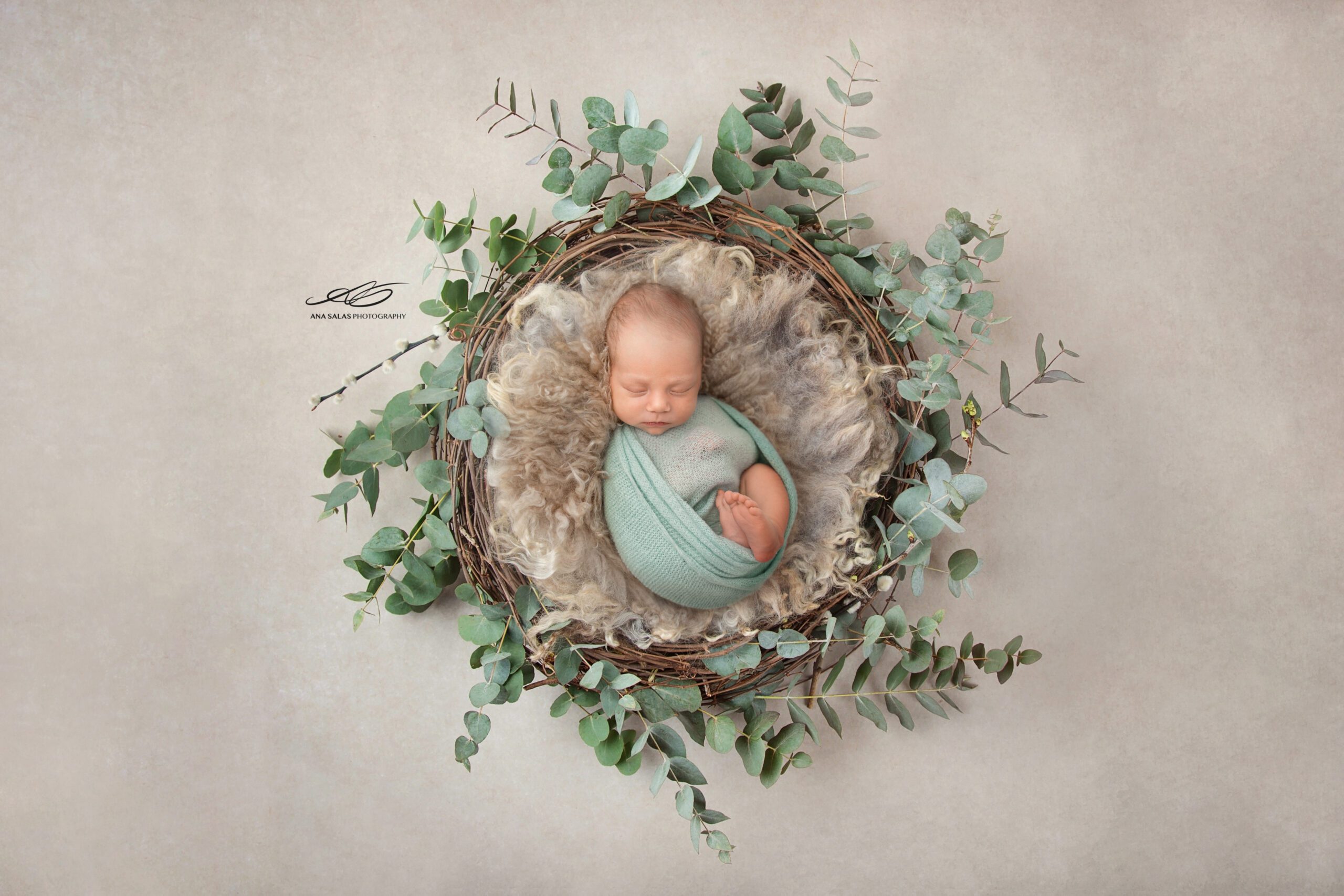 Edmonton newborn photographer. Baby boy photoshoot. Greenery design. Wrapped baby