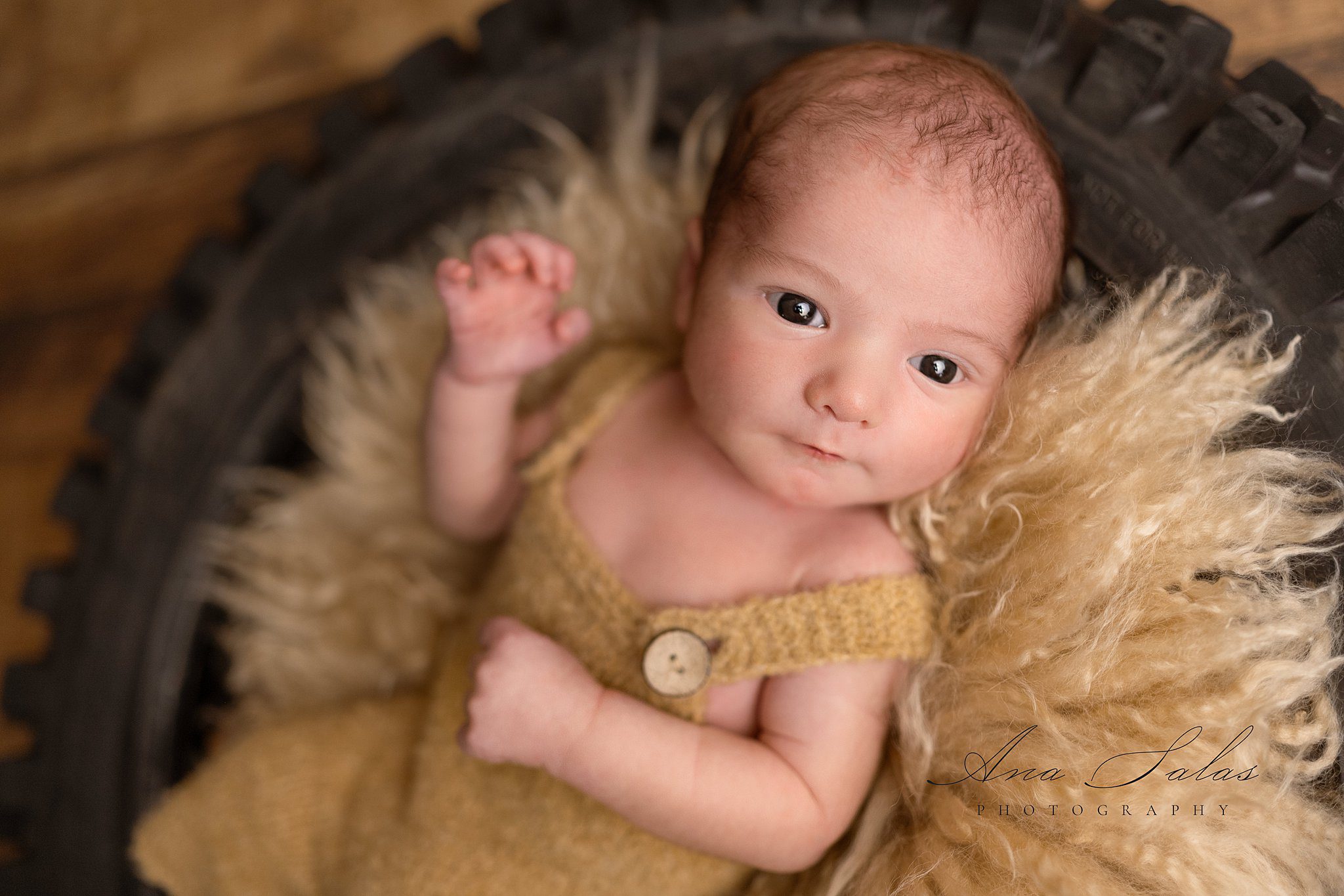 A newborn baby in a brown knit onesie lays in a blanket in a tire with eyes open after visiting edmonton pediatric dentists