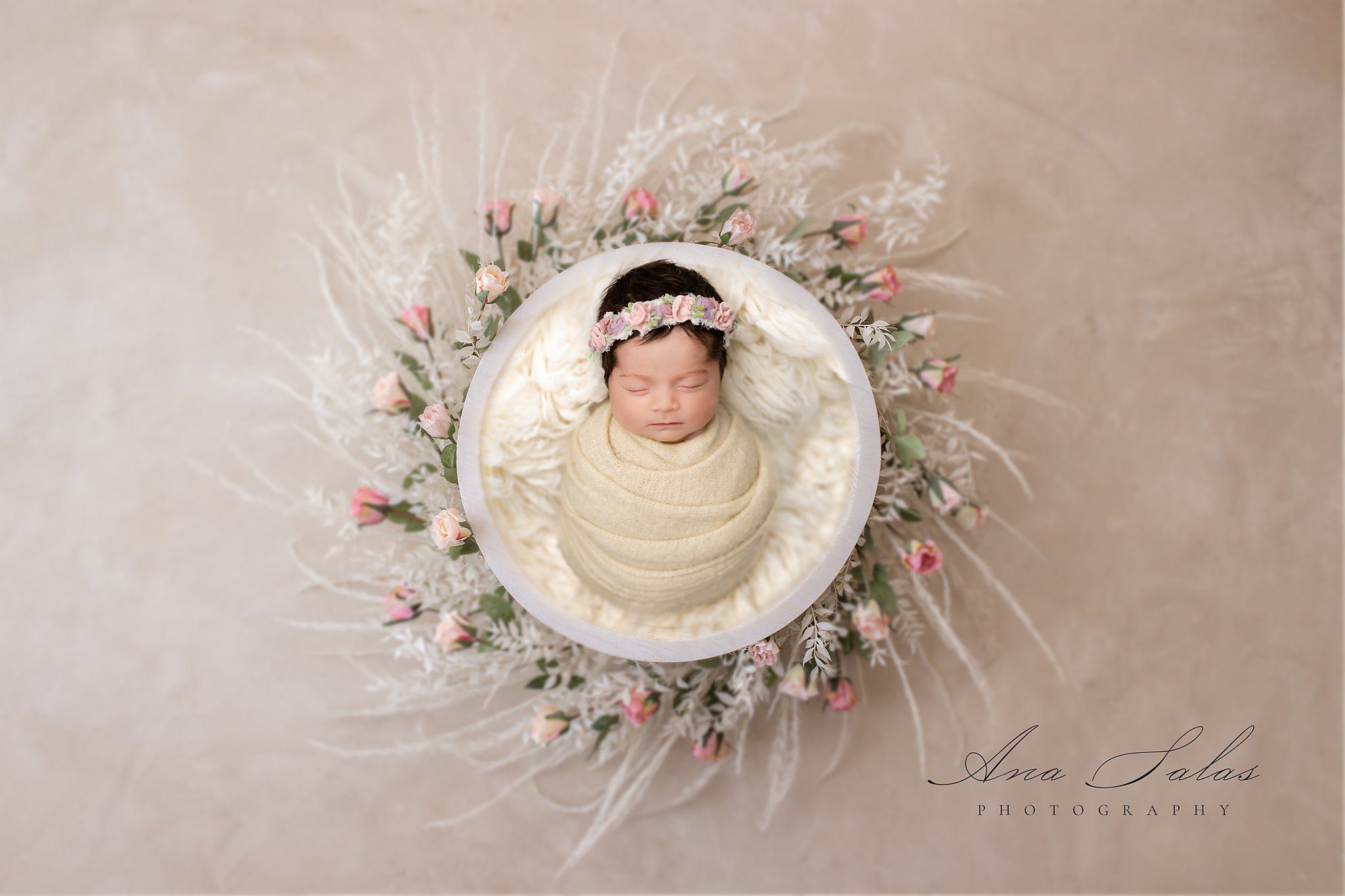 A newborn baby sleeps in a round bowl surrounded by flowers in a studio after meeting mommy connections edmonton